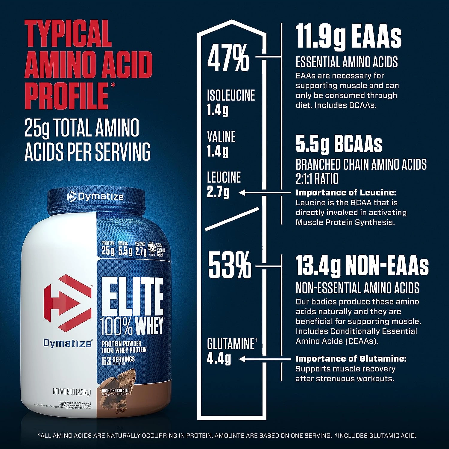 Dymatize Nutrition Elite Whey Protein Powder: Superior Blend of Whey Protein for Optimal Muscle Growth and Recovery-RICH CHOCOLATE-5