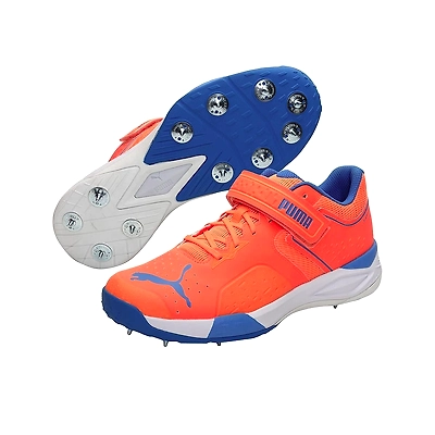 Puma evospeed 18.1 cricket on sale shoes