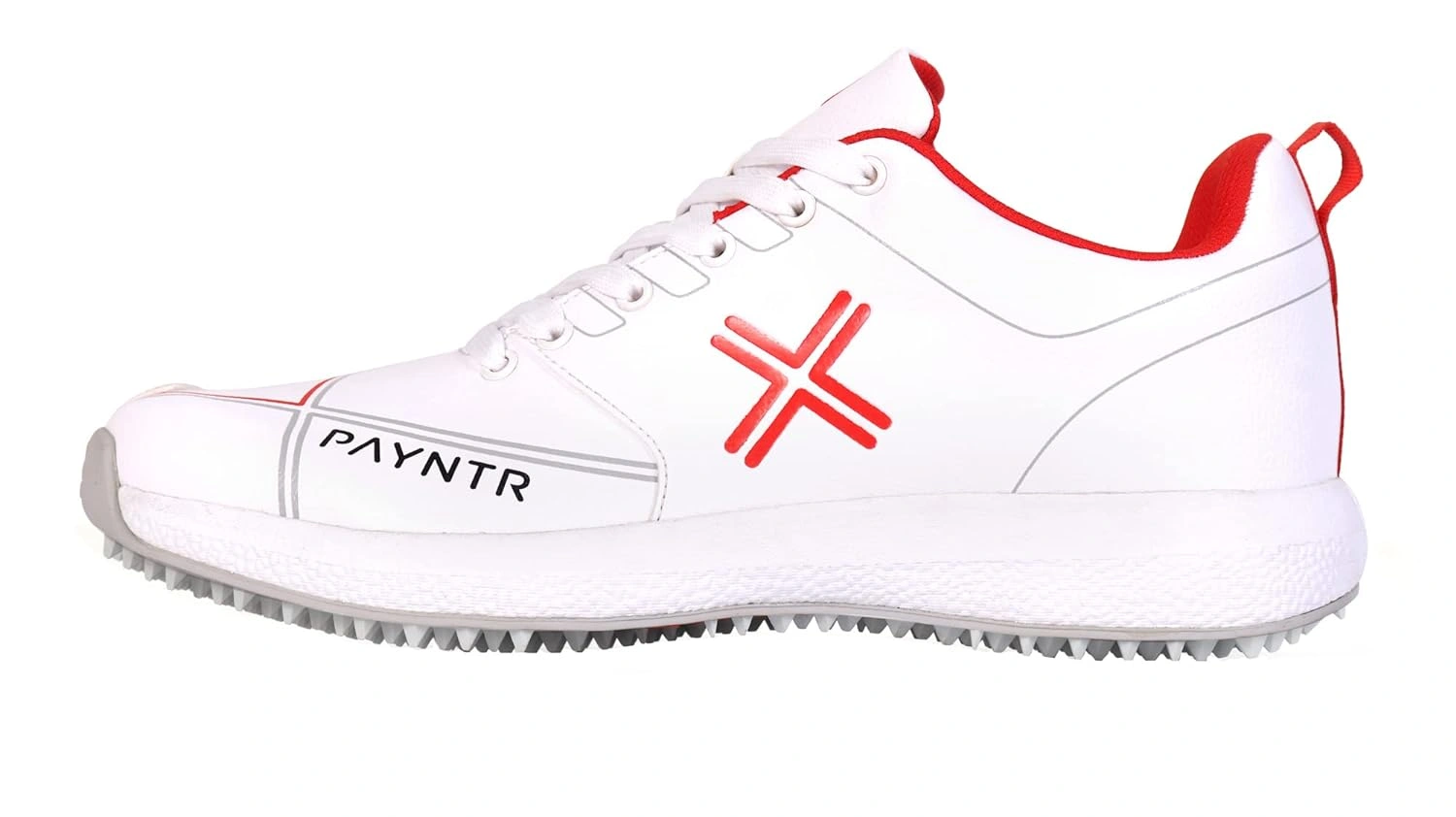 Payntr Men Cricket Shoes-47660