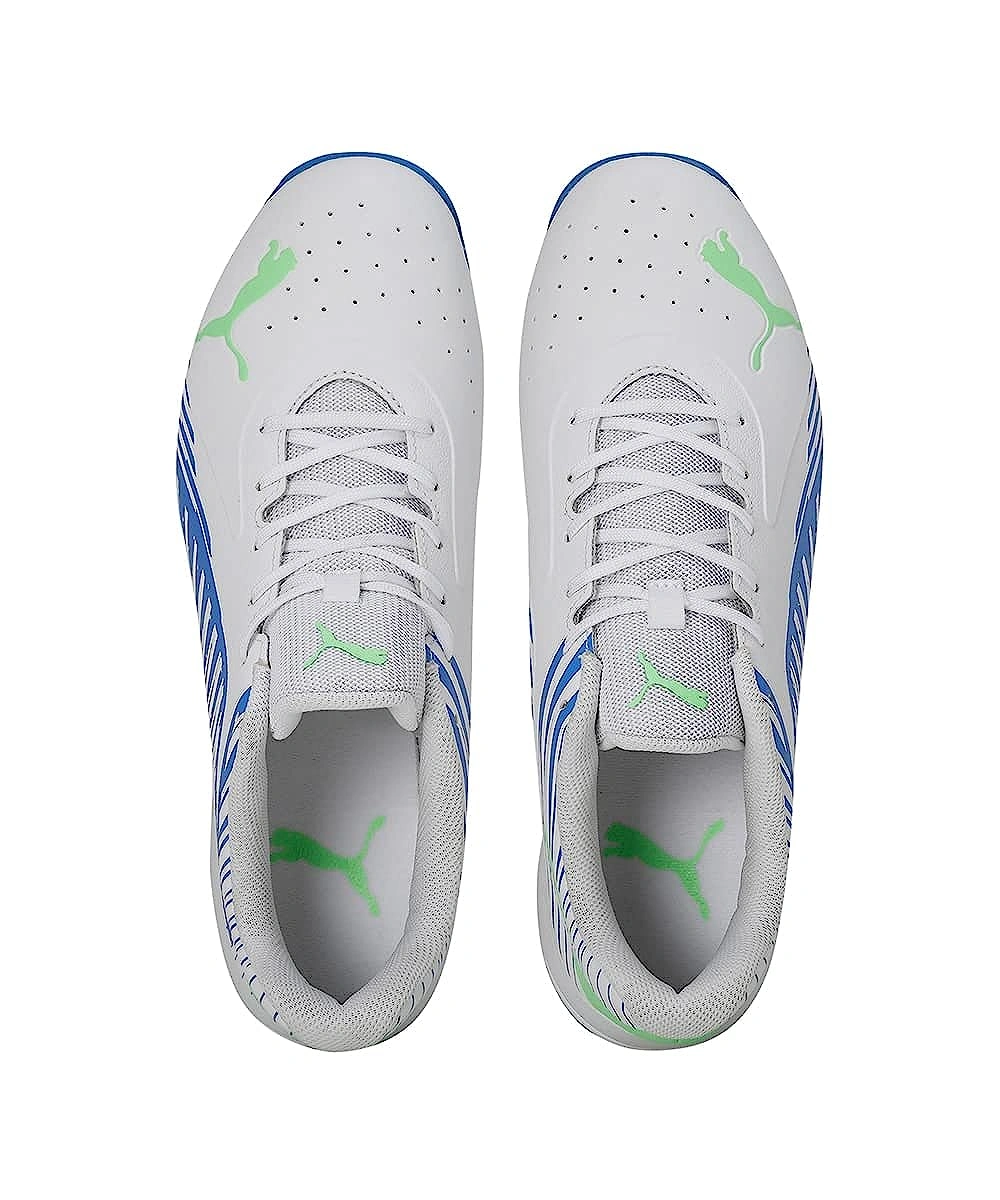 PUMA 22 FH Rubber Spikes Cricket Shoes-10-04-6