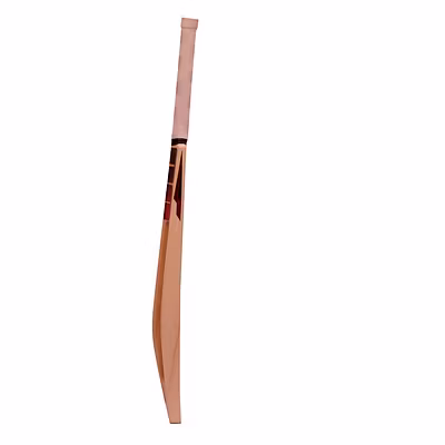 SS  Soft Pro Players Cricket Scoop Bat-FS-5