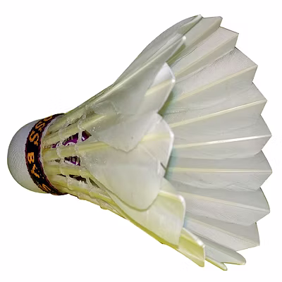 Albatross Super Win Badminton Shuttlecock (Pack of 12): Durable and Reliable Feather Shuttlecocks for Recreational Players-Feather-72 SPEED-2