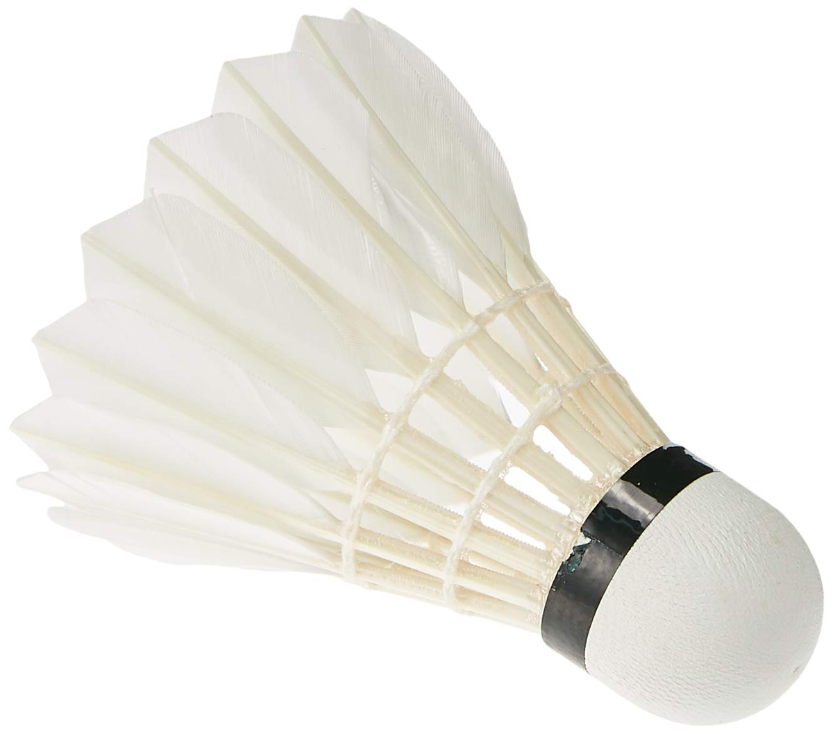 Buy Li-Ning A+300 Feather Badminton Shuttlecocks (Pack of 12) - totalsf ...