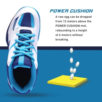 Shoe power online meter