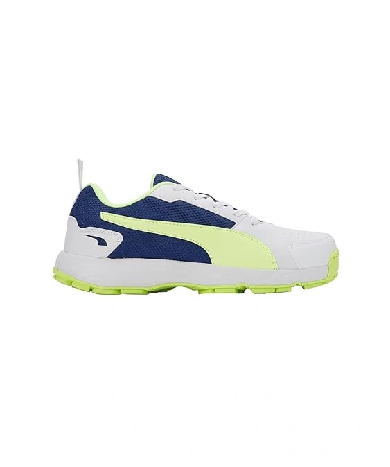 Puma Cricket High Run Shoes-03-6-3