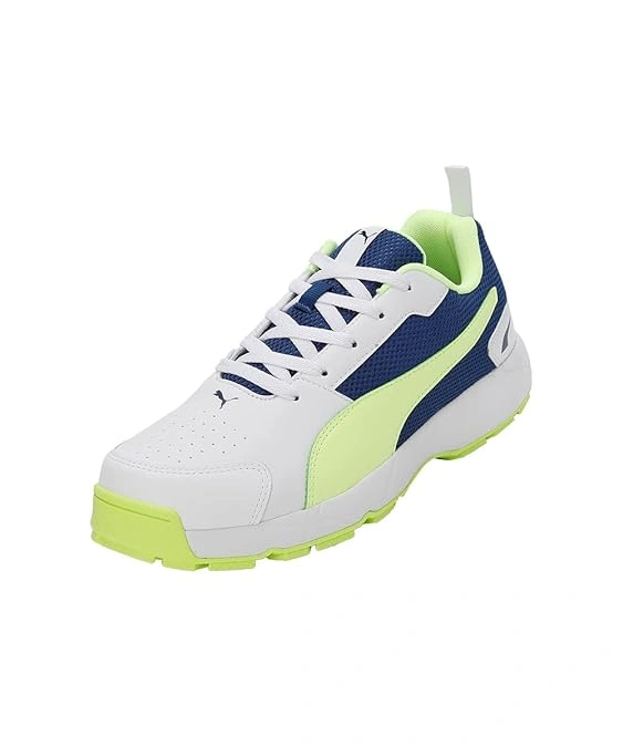 Puma Cricket High Run Shoes-03-6-5