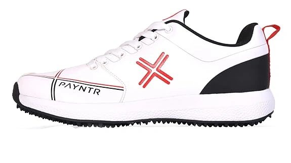 Payntr Men Cricket Shoes-10-WHITE / BLACK-1