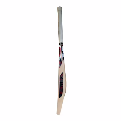 SG T-1600 Kashmir Willow Cricket Bat (Design May Vary)-FS-5