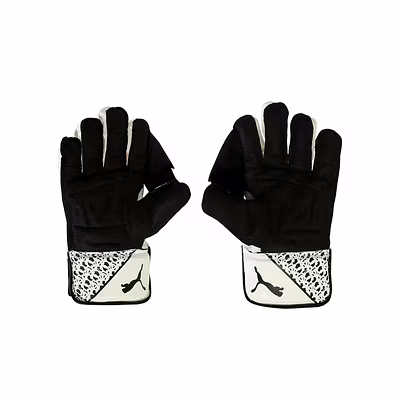 Puma Men&#039;s Future 3 Wicketkeeper Gloves -05-MENS-3