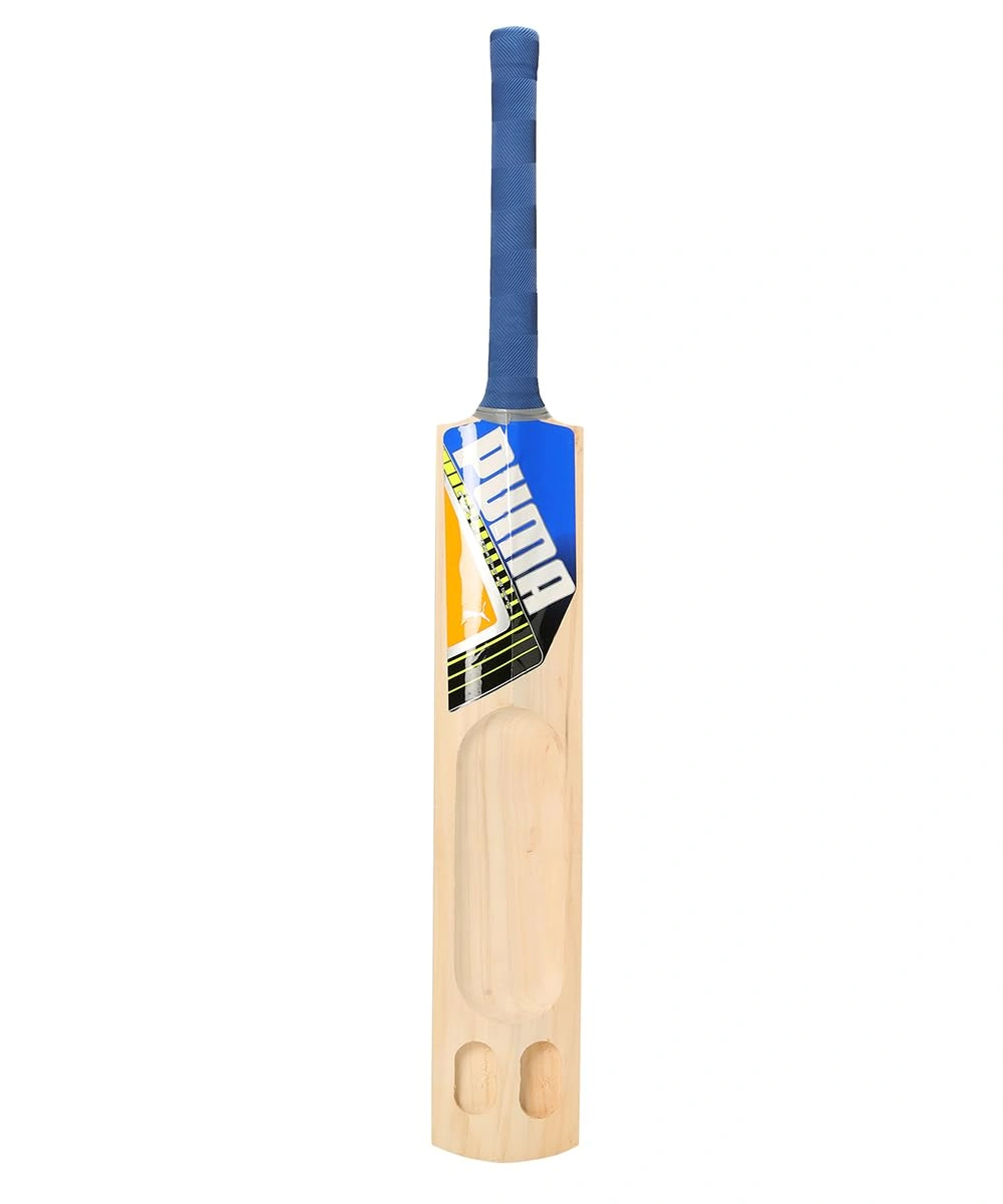 Puma Men's Future STB 1.3 KW Cricket Bat -01-FS-1