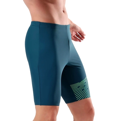 Speedo Men's Endurance 10 Medley Logo Jammer-DARKTEAL / HARLEQUINGREEN-34-5