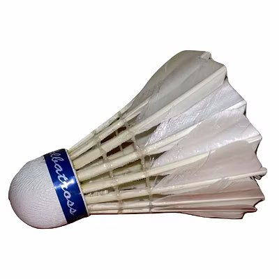 Albatross International Shuttlecocks Feather Shuttlecock (Pack of 12): Top-Quality Shuttlecocks for Club and Tournament Play-Feather-72 SPEED-2