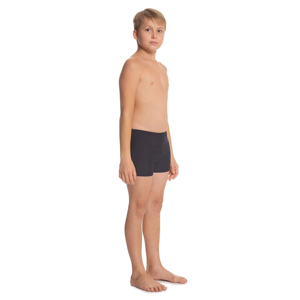 Speedo Logo Panel Aquashort For Boys-TRUE NAVY-30-7