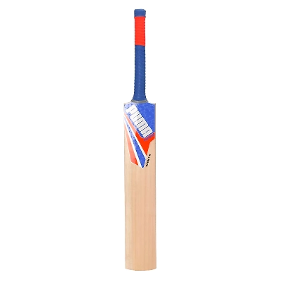 Puma Mens Future 1.1 Cricket Bat-01-FS-2