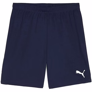 Puma TeamGOAL Men's Football Shorts