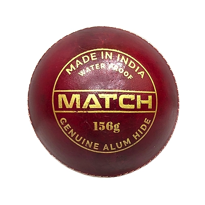 TOTAL Leather Cricket Season Ball-56581
