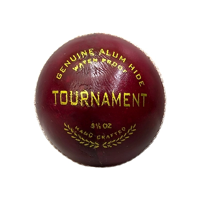 TOTAL Leather Cricket Season Ball-56584