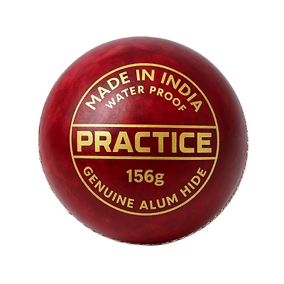 TOTAL Leather Cricket Season Ball-56586