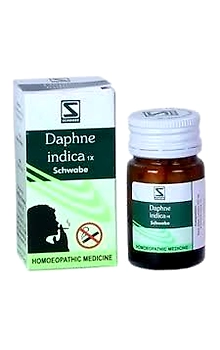 Daphne Indica 1X