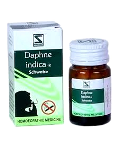 Daphne Indica 1X-schdi1x