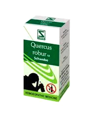 Quercus Robur 1X-schqr1x
