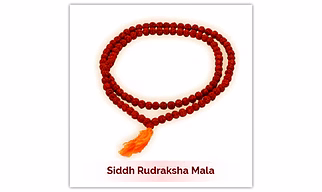 Siddh Rudraksha Mala