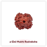 Do Mukhi Rudraksha