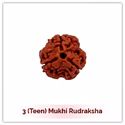 Siddh 3 (Teen) Mukhi Rudraksha