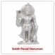 Siddh Parad Hanuman-sm