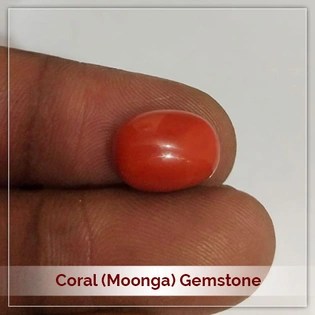 Coral (Moonga) Gemstone