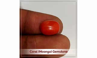 Coral (Moonga) Gemstone