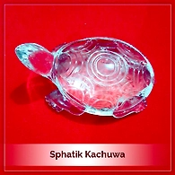 Crystal Tortoise