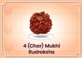Char Mukhi Rudraksha