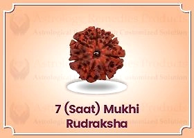 Saat Mukhi Rudraksha