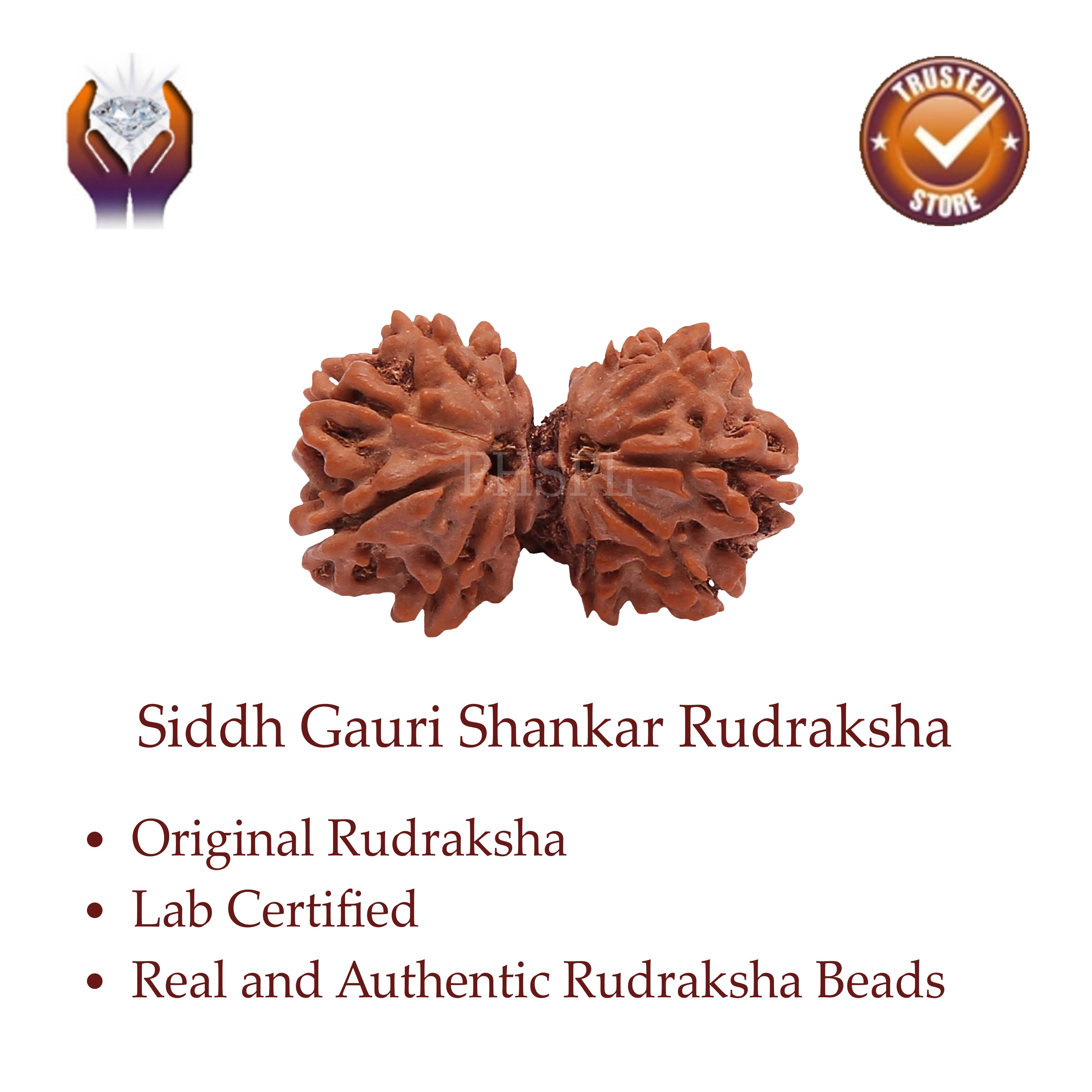 Gauri Shankar Rudraksha Benefits