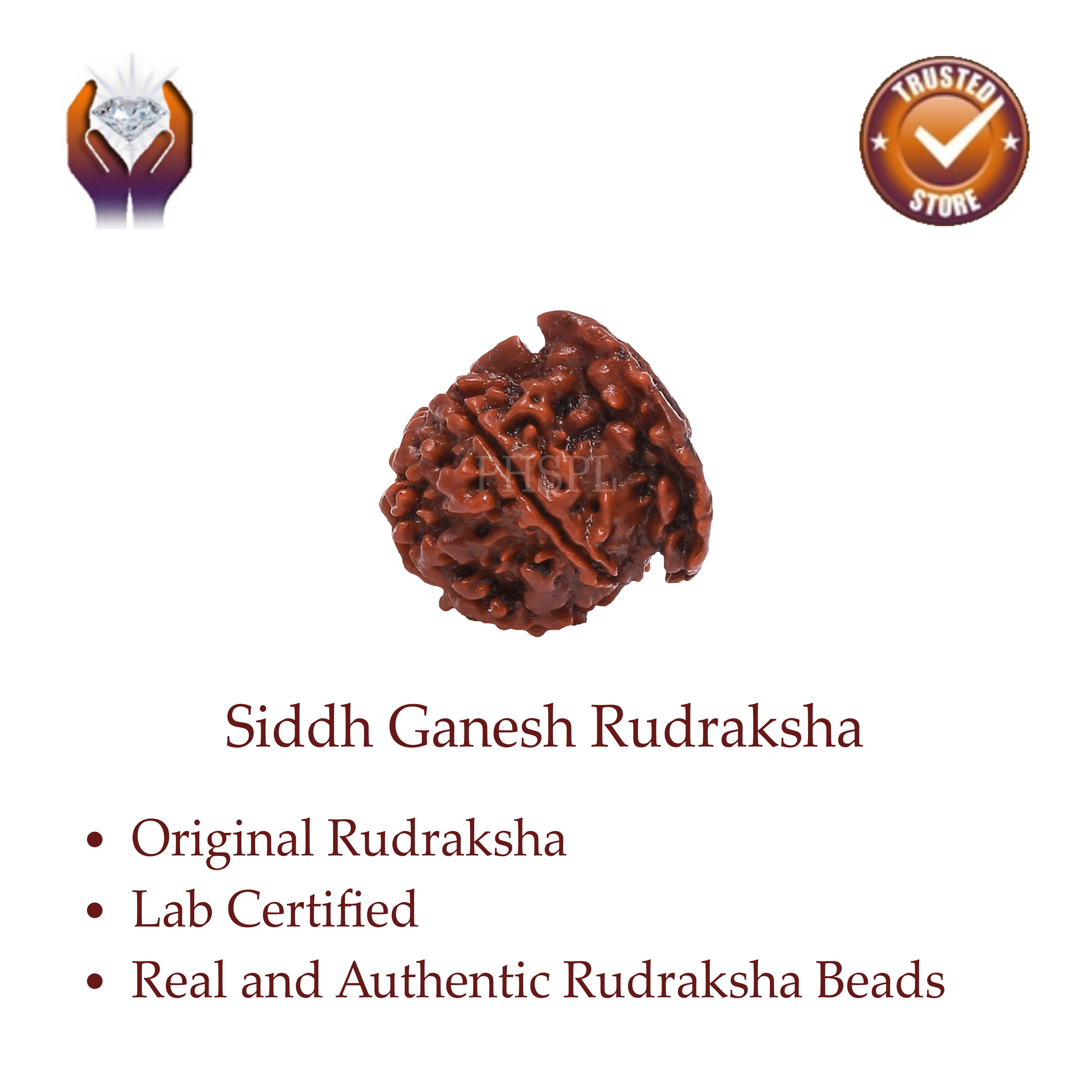 Ganesh Rudraksha Benefits