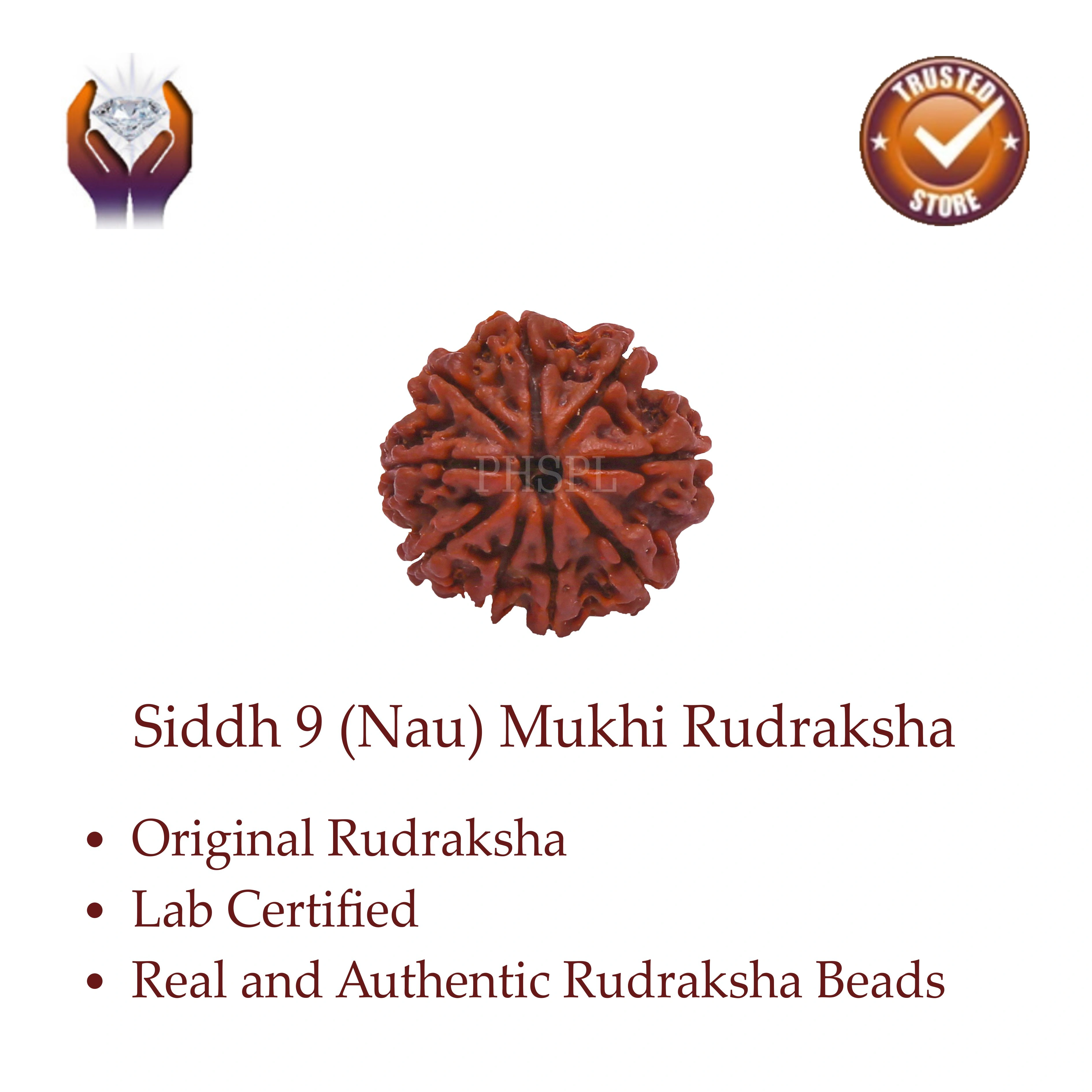 9 Mukhi Rudraksha Benefits