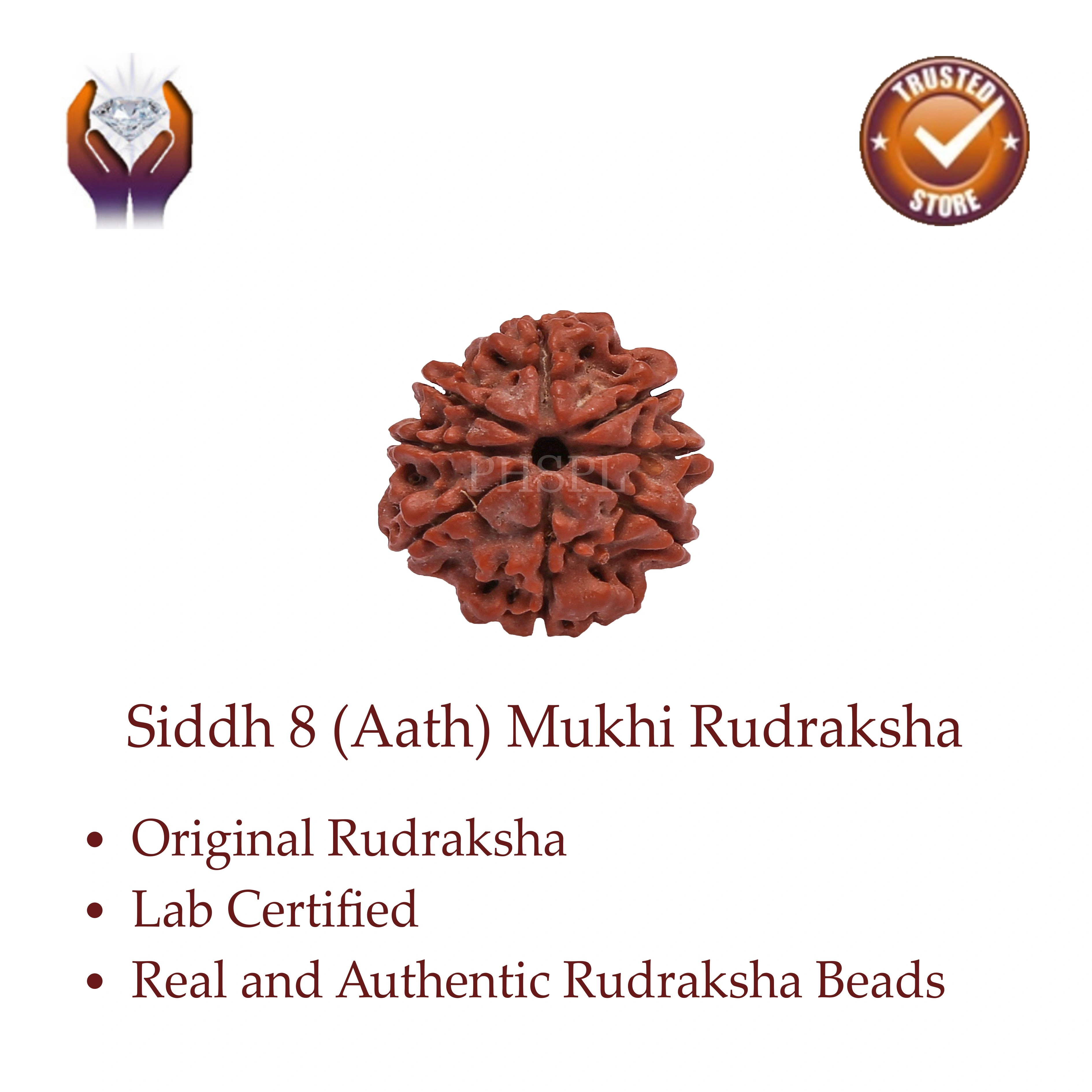 8 Mukhi Rudraksha Benefits