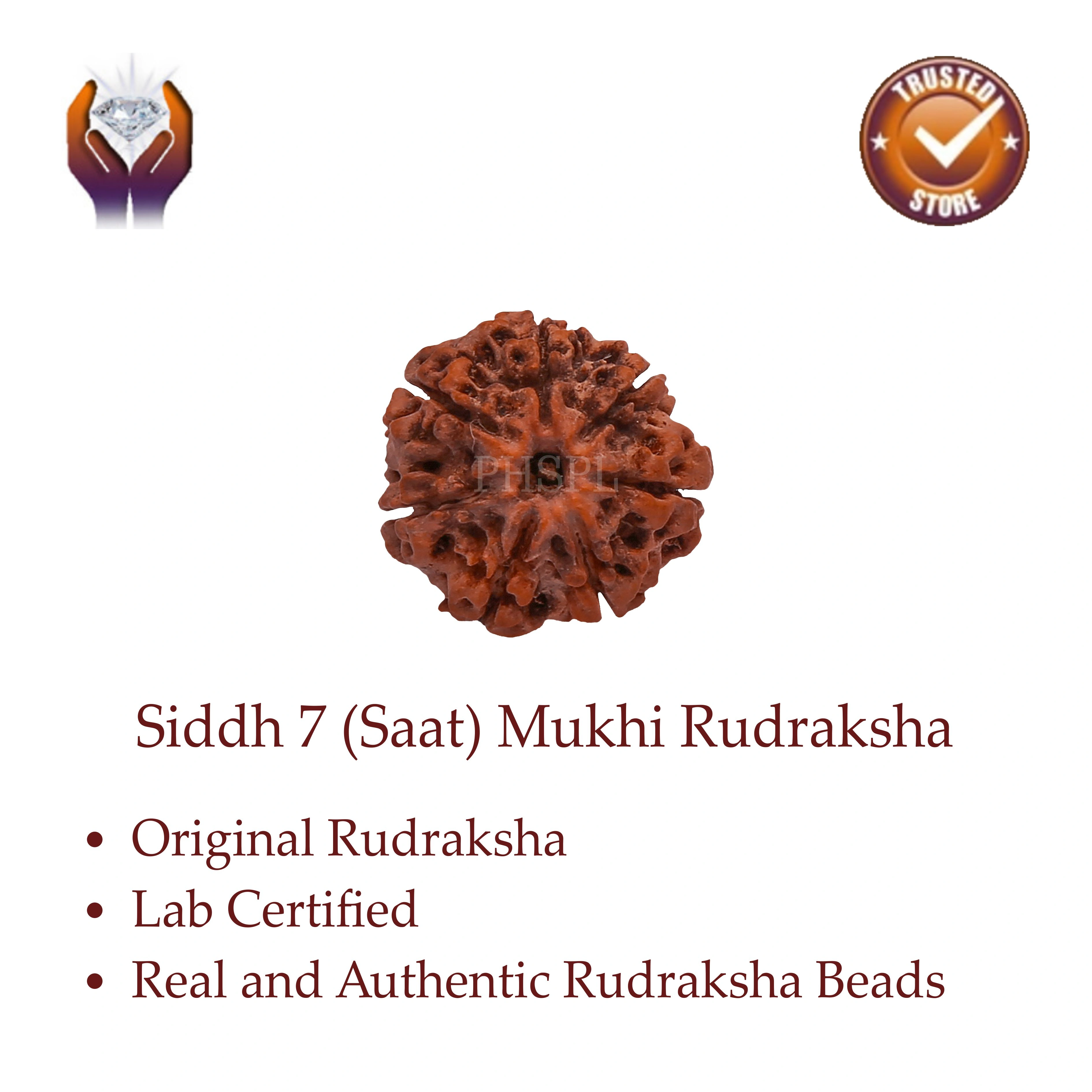 7 Mukhi Rudraksha Benefits