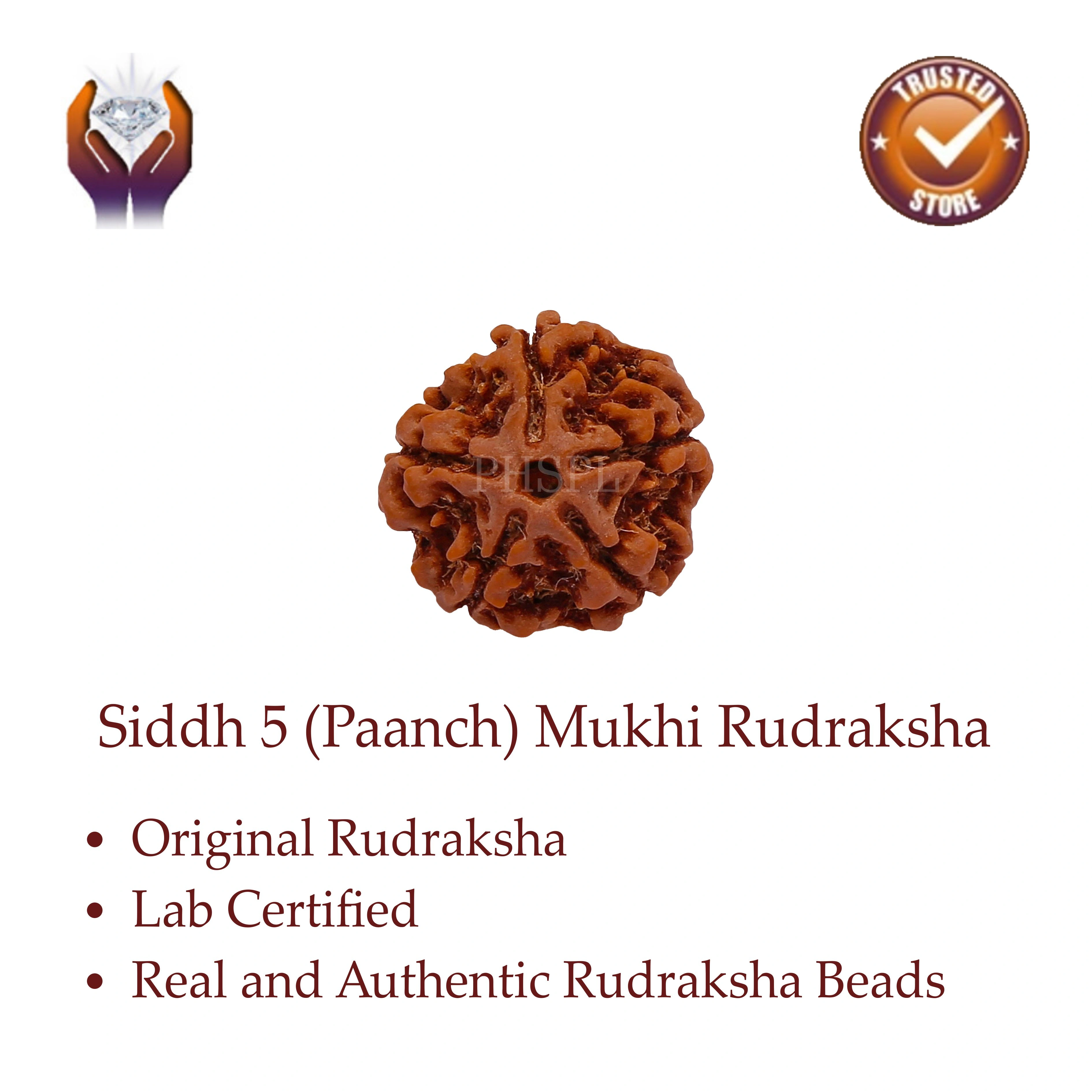 5 Mukhi Rudraksha Benefits