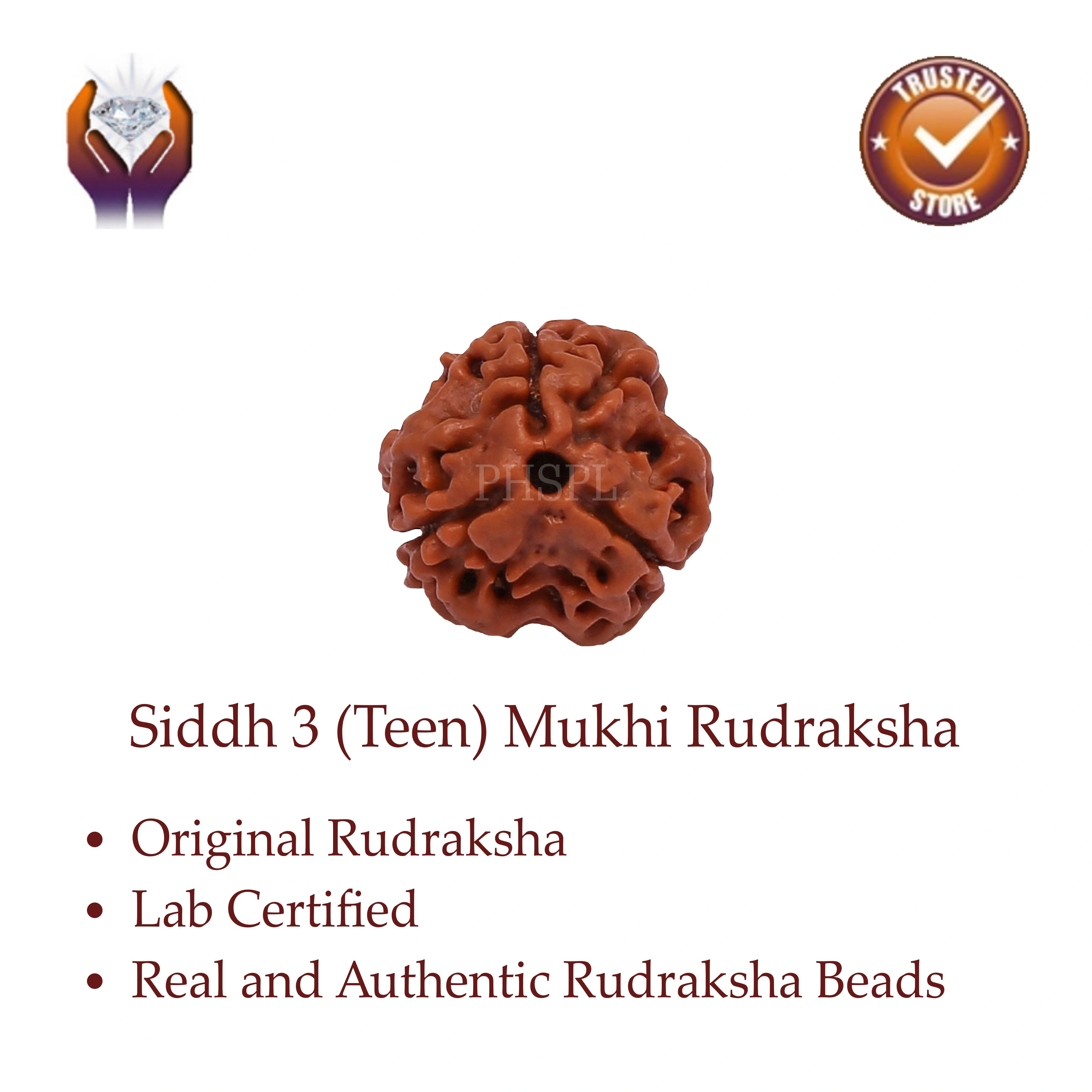 3 Mukhi Rudraksha Benefits