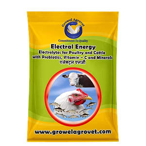 Birds and Animals : Electral Energy – Electrolytes With Vitamins, Minerals And Probiotics .