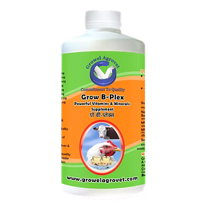 Birds and Animals : Grow B-Plex – Vitamin B-Plex For Poultry : With 19 Vitamin E, Vitamin -C, Amino Acids And Minerals.