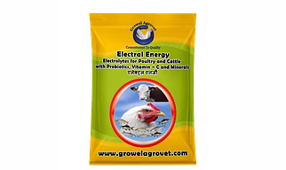Pigeons : Electral Energy – Electrolytes   with Vitamins, Minerals And Probiotics