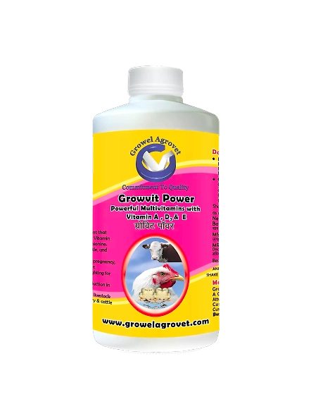 Pigeons : Growvit Power – A Powerful Multivitamins (Vitamin AD3E)-1039-250ml