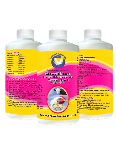 Pigeons : Growvit Power – A Powerful Multivitamins (Vitamin AD3E)-250 ml-4