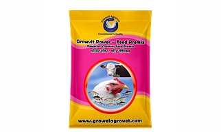 Pig and Swine : Growvit Power – Feed Premix: Vitamins Feed Premix