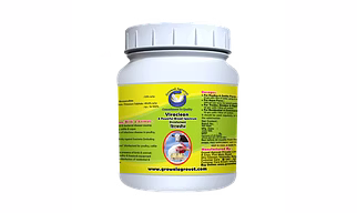 Pig and Swine : Viraclean – A Powerful Broad Spectrum Disinfectant