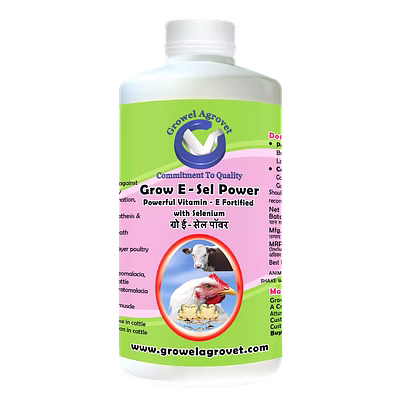 growel agrovet pig and swine : grow e-sel power – vitamin e fortified with selenium