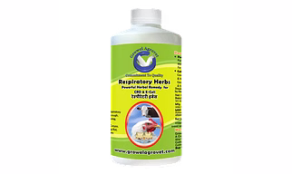 Pig and Swine : Respiratory Herbs – Respiratory Disease (Pneumonia) Medicine